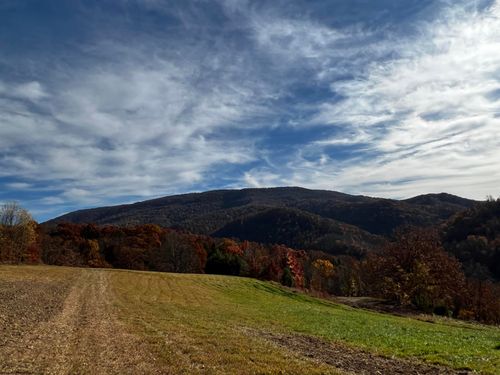 2878 Mackeyville Rd, Hambleton, WV, 26269-8189 | Card Image