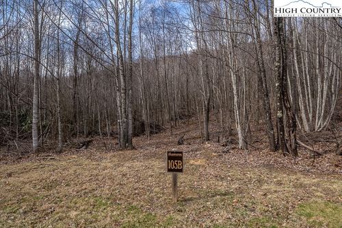 Lot 105B TBD Beaver Dam Road, Elk Park, NC, 28622 | Card Image