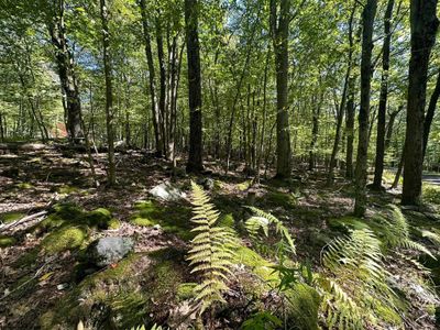 LOT-50-ANDAMP-51-BERN-SEC - Lots 50 &amp; 51 Beebalm Court, Home with 0 bedrooms, 0 bathrooms and null parking in Terra Alta WV | Image 1