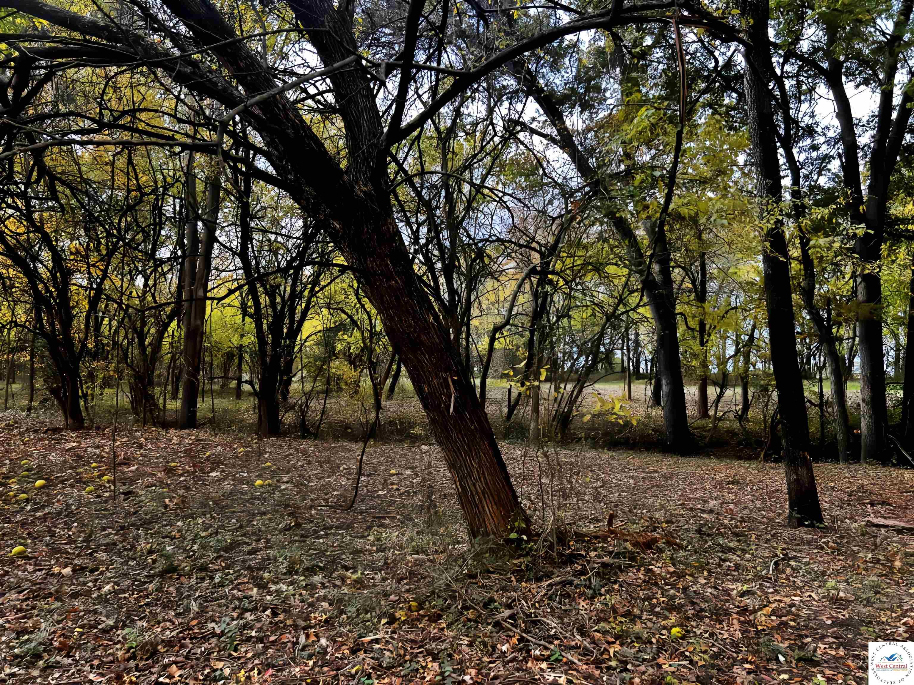 Land in Clinton 4