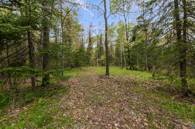 23540 State Highway 13, House other with 3 bedrooms, 2 bathrooms and null parking in Cornucopia WI | Image 20