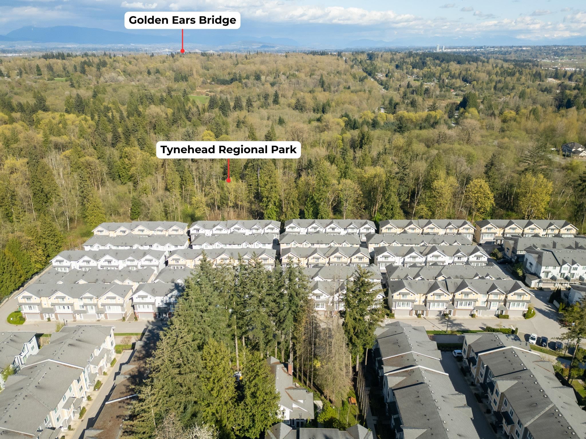 Residential in Surrey 4
