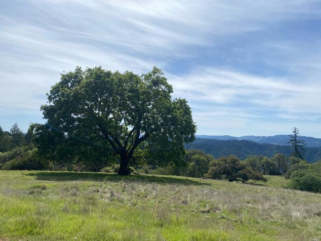 19010 Hulbert Rd, Home with 0 bedrooms, 0 bathrooms and null parking in Yorkville CA | Image 10