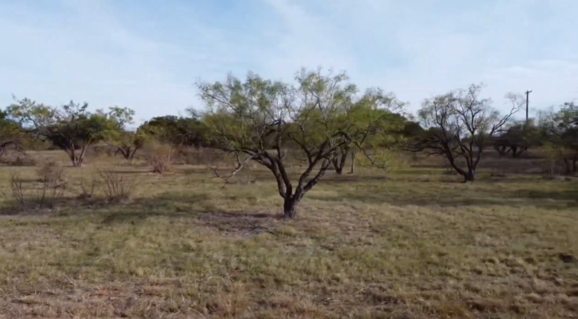 Land in Brownwood 5