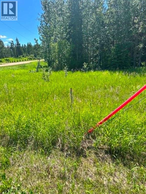 Land in Rural Ponoka County 4