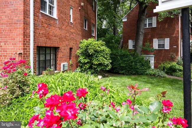 1535 Mount Eagle Pl, Condo with 1 bedrooms, 1 bathrooms and null parking in ALEXANDRIA VA | Image 18