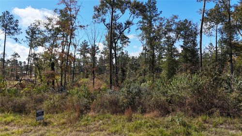 TBD 7 Reveille Rd, Livingston, TX, 77351 | Card Image