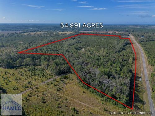 Tract 7 Kinnett Rd, Jacksonville, GA, 31544 | Card Image