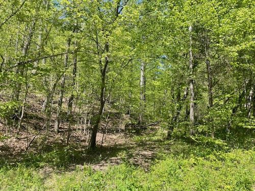 0 Stewart Branch Rd, Hurricane Mills, TN, 37078 | Card Image