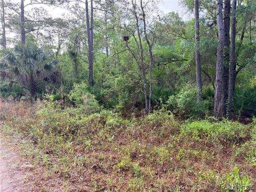 7494 W Nadel Dr, CRYSTAL RIVER, FL, 34428-2617 | Card Image