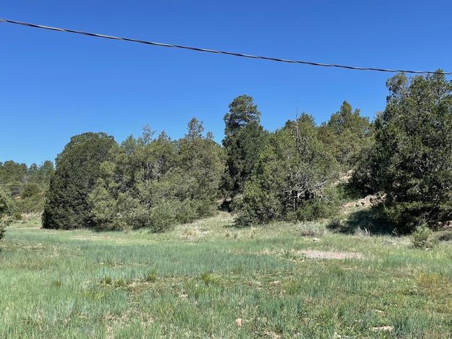5 Yucca Flats Rd, Home with 0 bedrooms, 0 bathrooms and null parking in Tijeras NM | Image 7