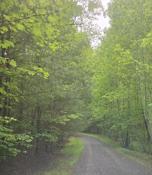 Lot 14 Noontootla Ridge Ct, Blue Ridge, GA, 30513 | Card Image
