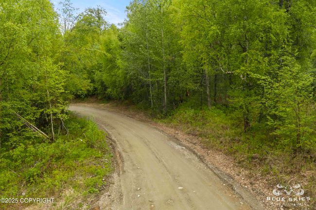LOT-1999B02L0002-28 | Image 6