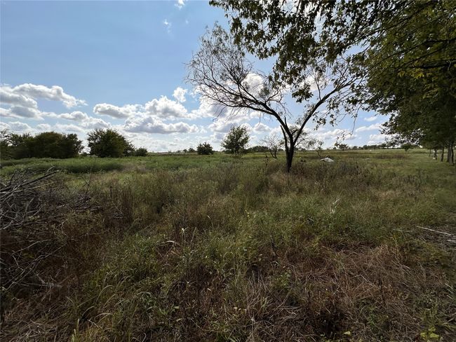 Lot 21 Longview Creek Trail, Home with 0 bedrooms, 0 bathrooms and null parking in Itasca TX | Image 6