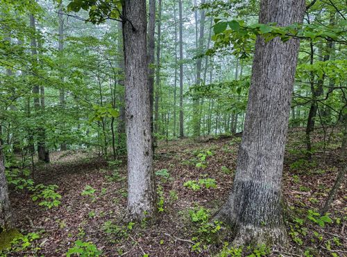 Lot 1 Shortline Hwy, New Martinsville, WV, 26155 | Card Image