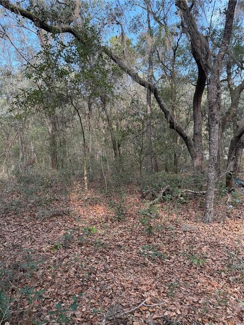 102 David Dr, Interlachen, FL, 32148-6512 | Card Image