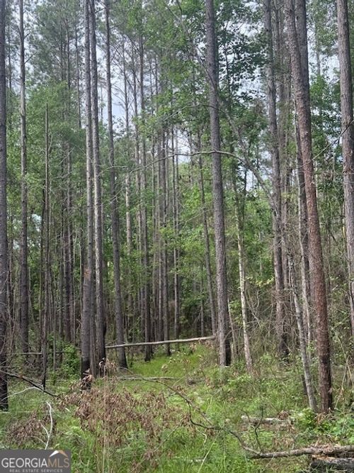 0 Lower Lumpkin Rd, Georgetown, GA, 39854 | Card Image
