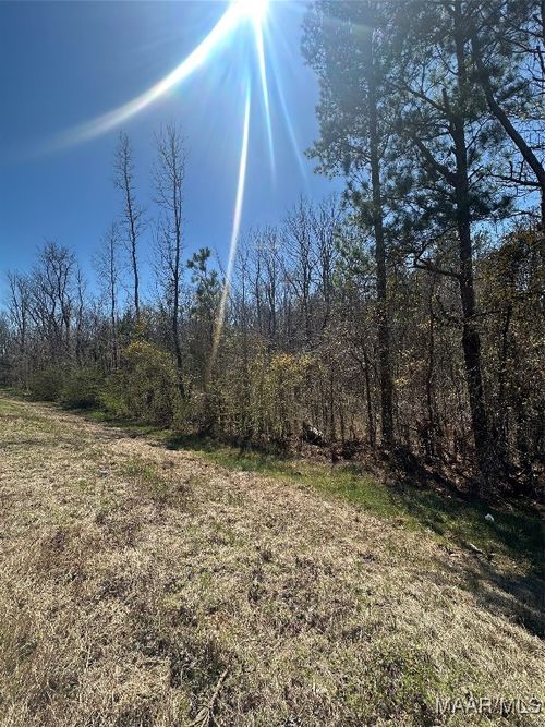 39 Jasmine Ln, Ramer, AL, 36069-6152 | Card Image
