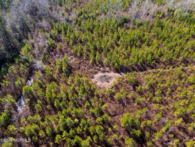 00 Sykes Town Rd, Home with 0 bedrooms, 0 bathrooms and null parking in Currie NC | Image 12