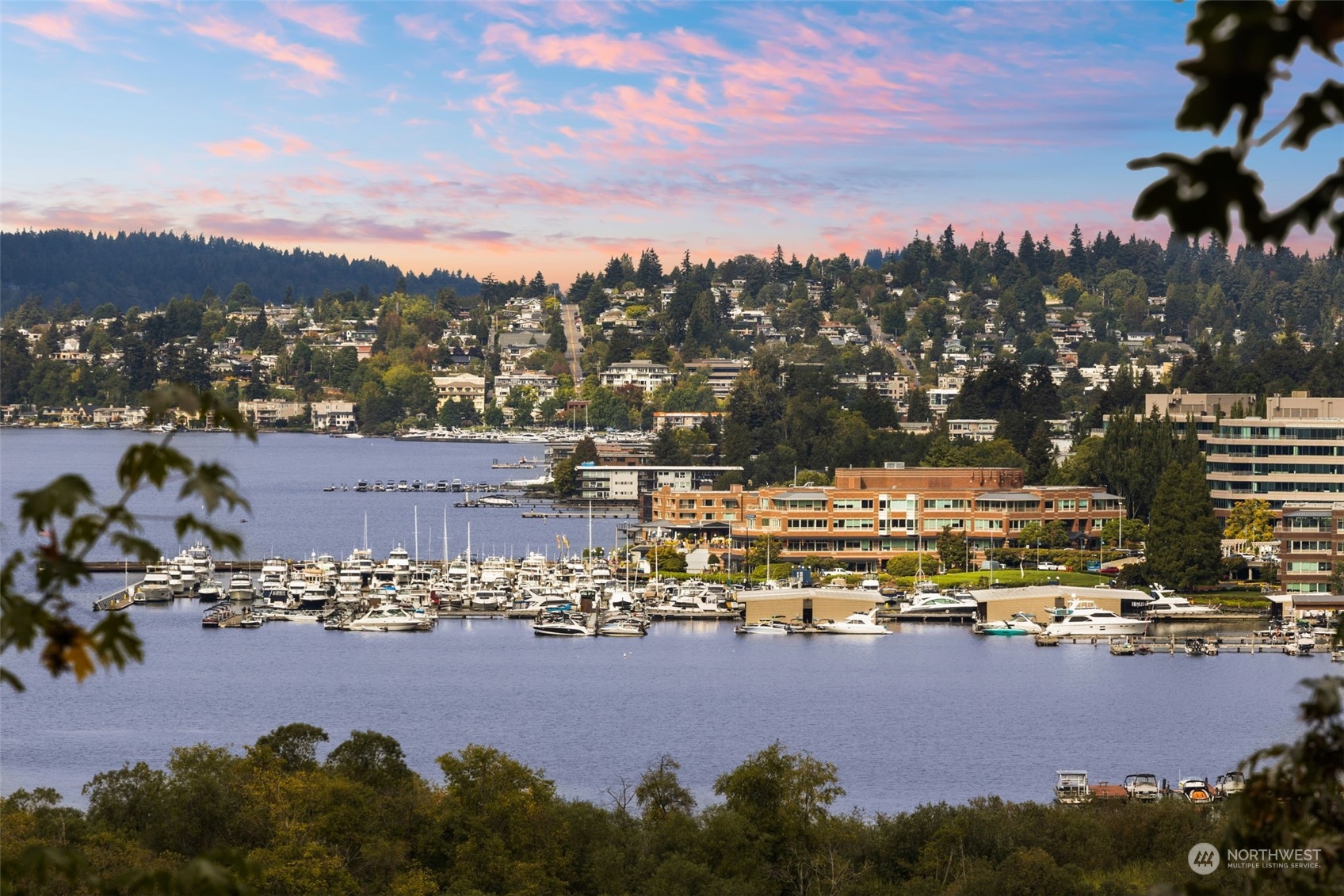 34th Pl, Bellevue, WA 98004