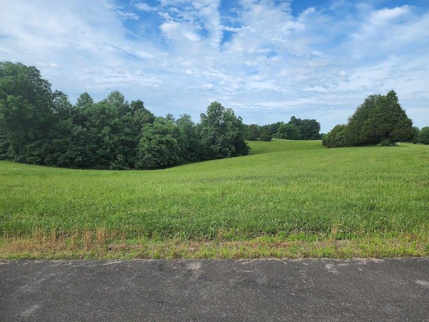 Land in Russell Springs 3