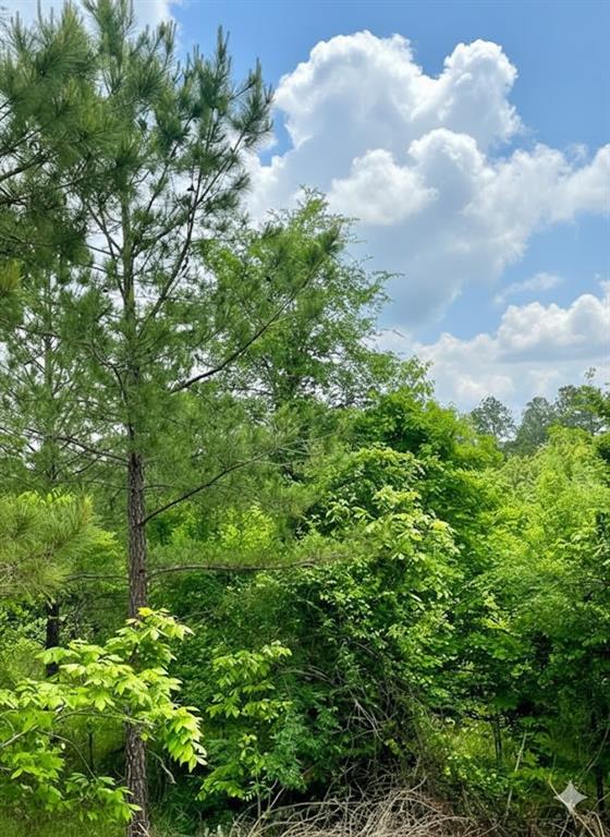 Land in Broken Bow