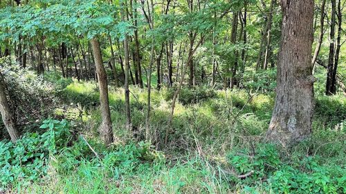 58 Redhawk Trail Trail, Lake Delton, WI, 53913 | Card Image