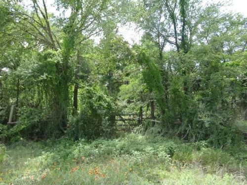 28 Marjorie Lane, Huntsville, TX, 77320 | Card Image