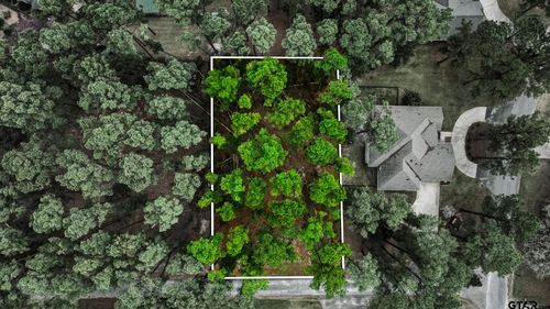 Lot 322 Section Pine Cone Glen, Holly Lake Ranch, TX, 75765 | Card Image