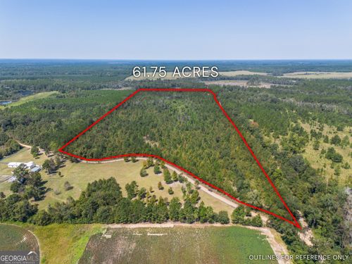 0 Wilcox Ln, Rhine, GA, 31077 | Card Image