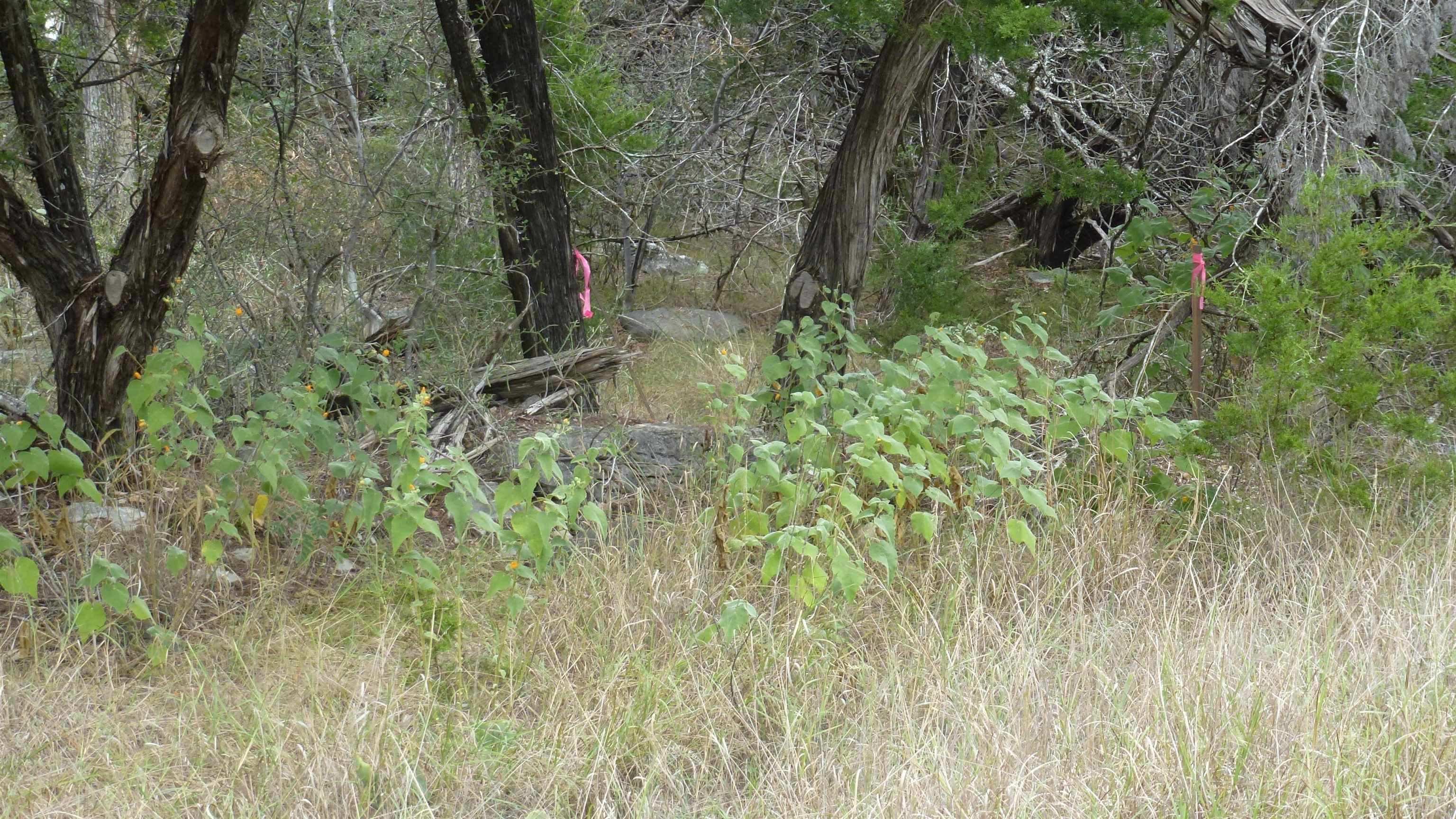 Land in Horseshoe Bay 4