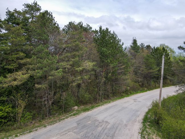 Lot 8 Lindsay Hill Road, Home with 0 bedrooms, 0 bathrooms and null parking in Parry Sound Remote Area ON | Image 21