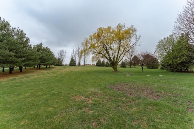 DSC_6426.jpg | Image 6