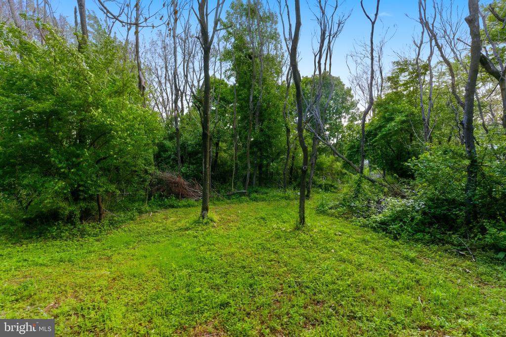 Land in MARTINSBURG 4