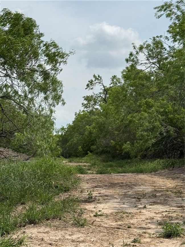 5525 Ravine Rd, Home with 0 bedrooms, 0 bathrooms and null parking in Robstown TX | Image 9