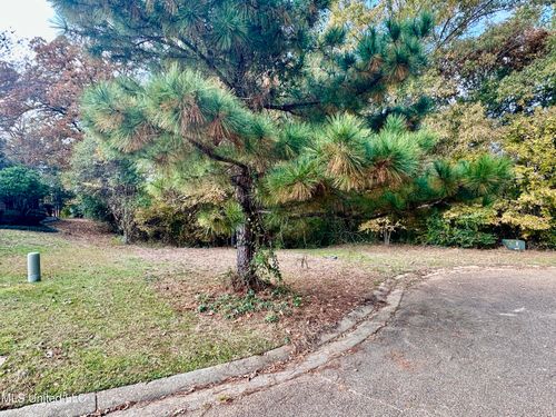 0 Ashton Pl, Clinton, MS, 39056 | Card Image