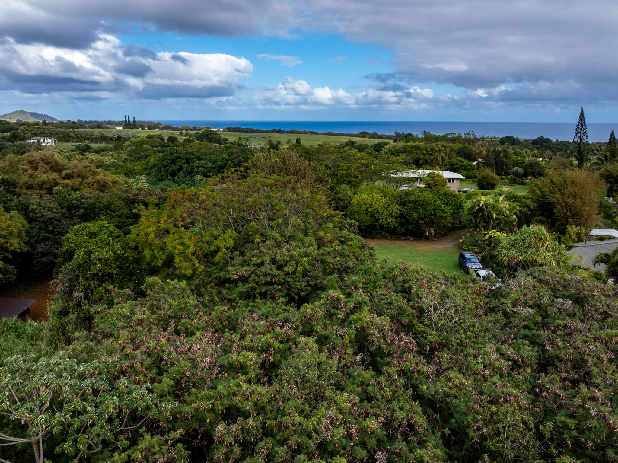 Land in Kilauea