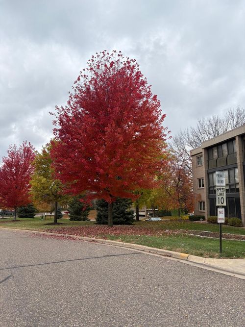 302-4350 Brookside Ct, Edina, MN, 55436-1451 | Card Image