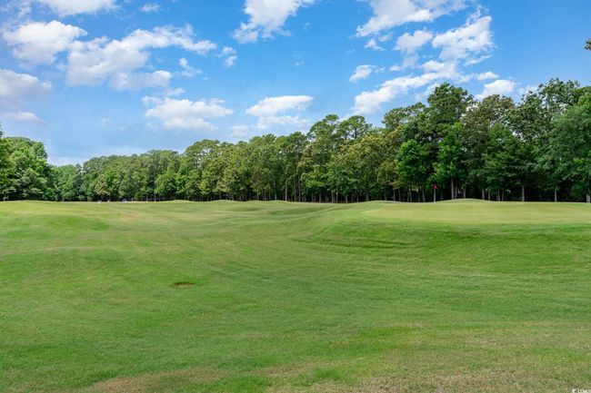 4610 Fringetree Dr, House other with 3 bedrooms, 2 bathrooms and 4 parking in Murrells Inlet SC | Image 31