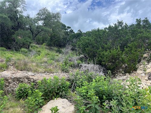 1609 Trail Pass Dr, Canyon Lake, TX, 78133-6293 | Card Image