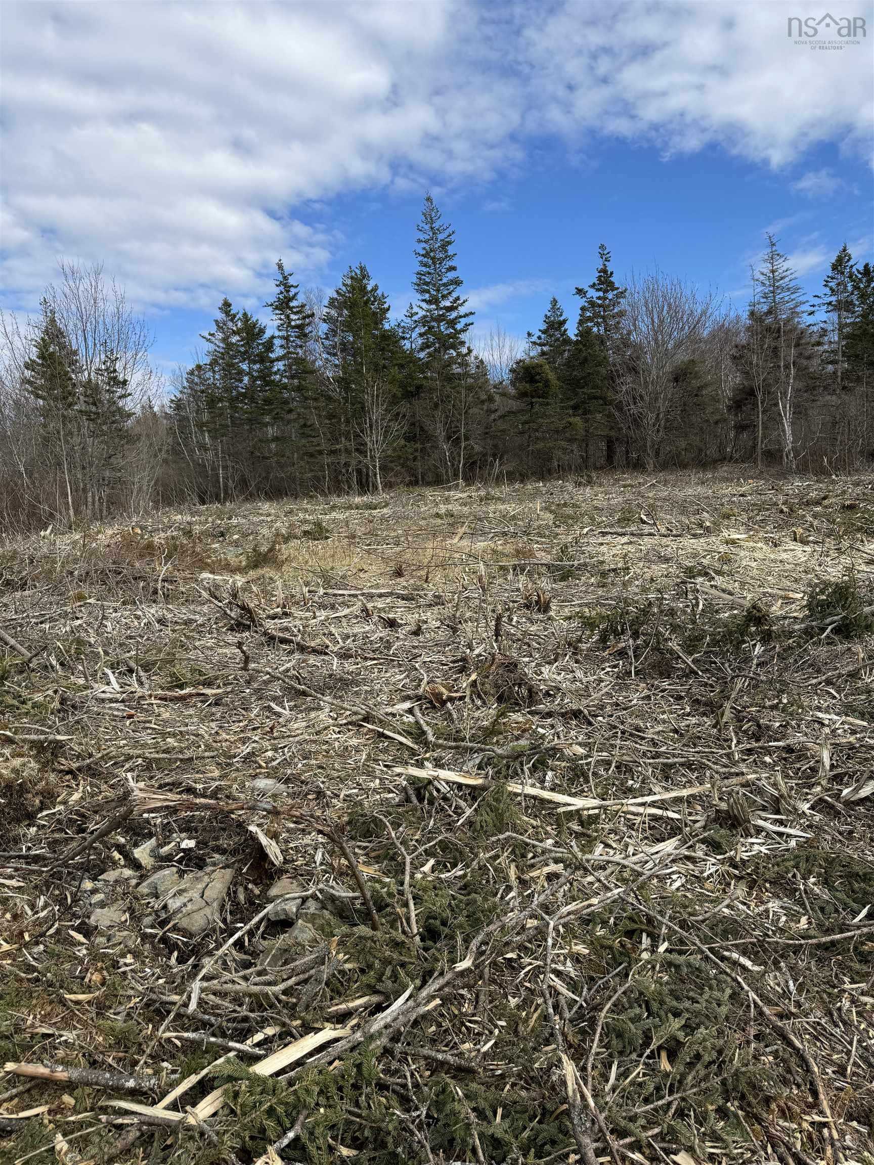 Land in Phinneys Cove 3