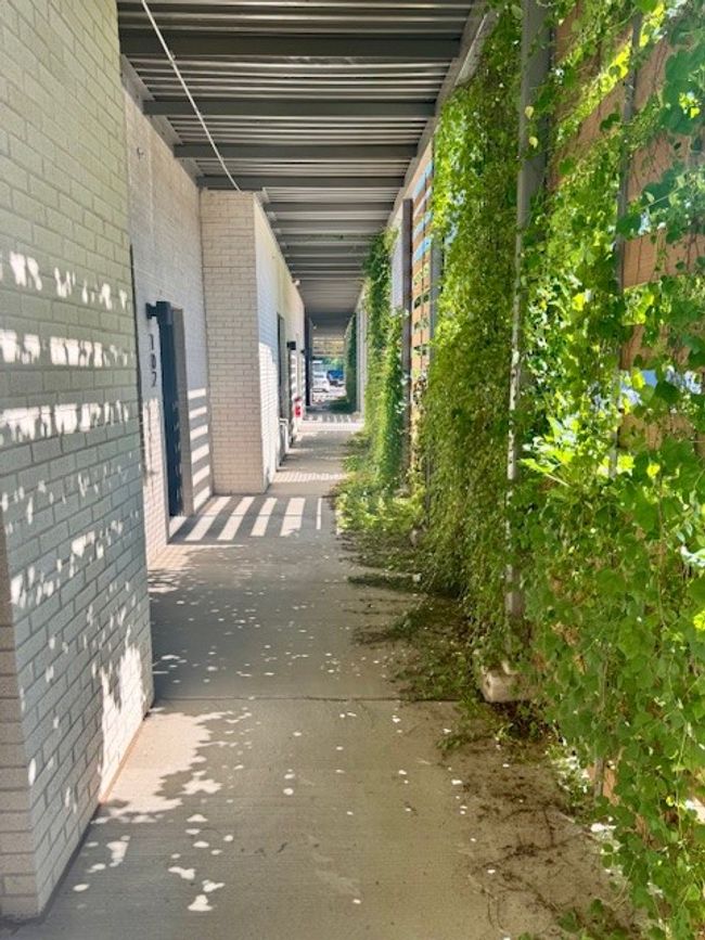 STE-208 - 726 E Emma Ave, Condo with 1 bedrooms, 1 bathrooms and null parking in Springdale AR | Image 4