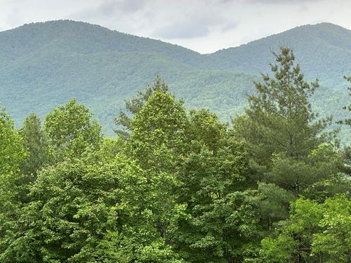 00 Top Horseshoe Rdg, Murphy, NC, 28906 | Card Image