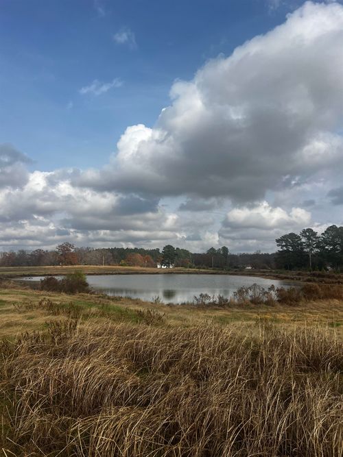 00 Helicon Rd, Arley, AL, 35541 | Card Image