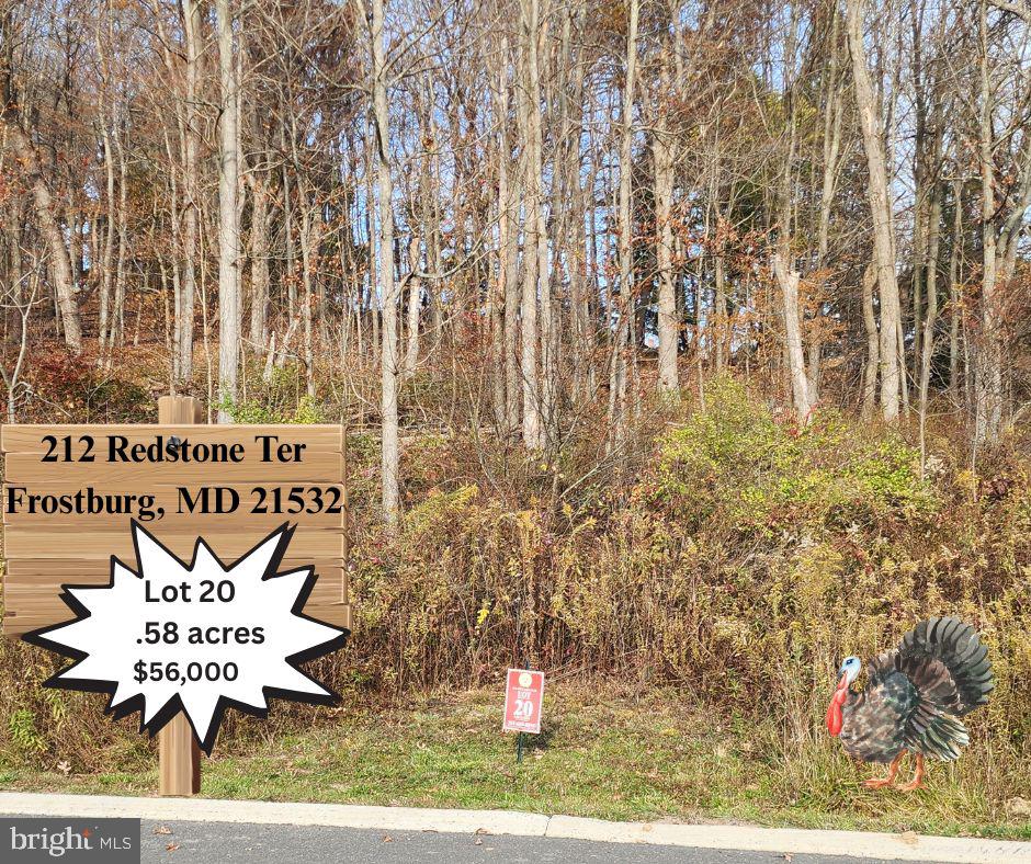 Land in FROSTBURG