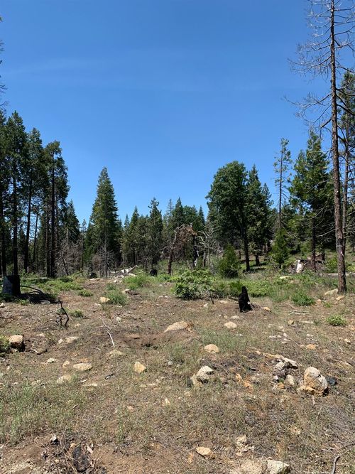 1 Shaver Lake, Shaver Lake, CA, 93602 | Card Image