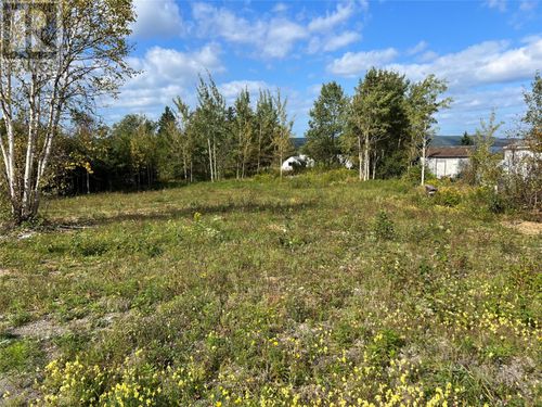 {{alt}} | Card Image