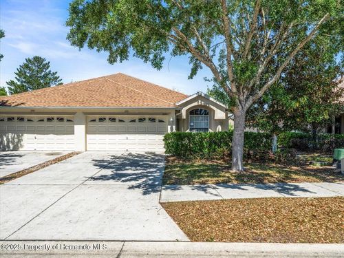 3885 Crossline Dr, Spring Hill, FL, 34609-1795 | Card Image