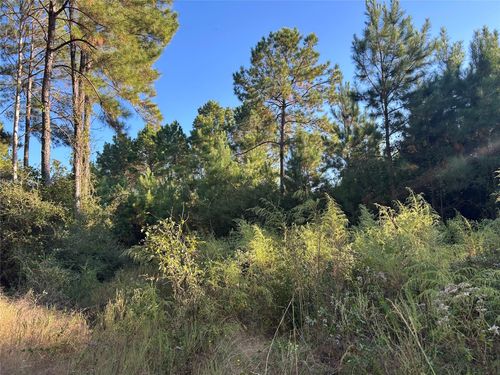 12 Fm 230, Lovelady, TX, 75851 | Card Image