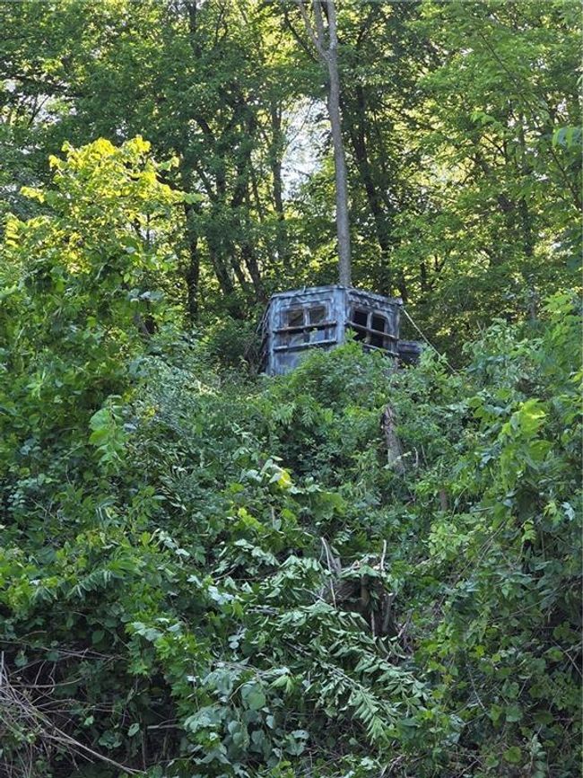 View of DEER STAND ON THE BLUFF | Image 44